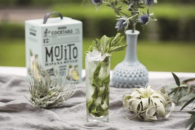 Mojito BIB - Vikingfjord Vodka Cocktails Mojito