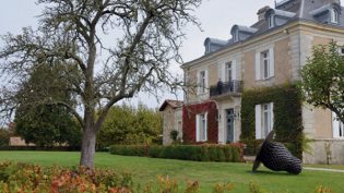 Château Haut-Bailly