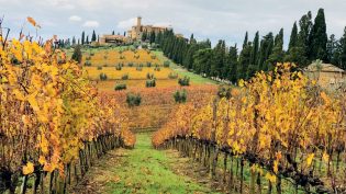 Montalcino i Italia – vingårdsbesøk hos Banfi