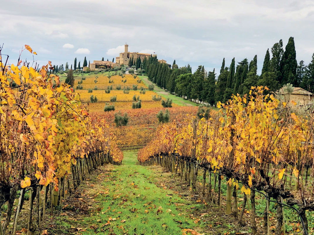 Montalcino i Italia – vingårdsbesøk hos Banfi