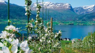 Gardsbrenneriet, håndverksdestilleriet i Nordfjord